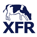 XFR Ltd.